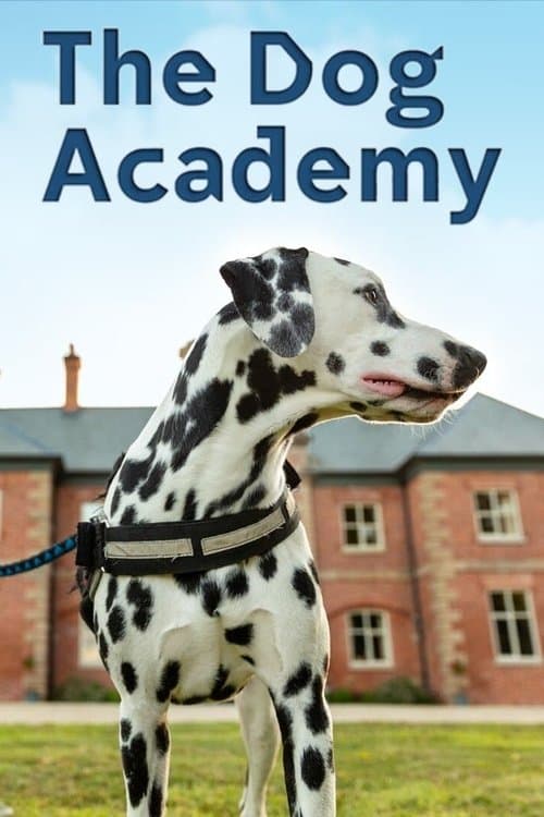 Bad Dog Academy Series 2 poster