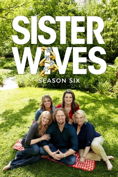 Sister Wives Season 4 poster