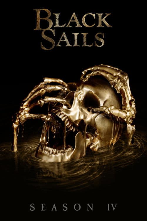 Black Sails Season 4 poster