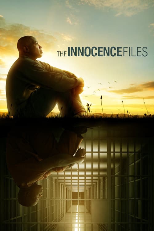 The Innocence Files Limited Series poster