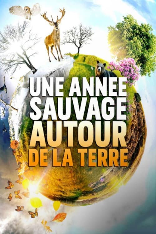 A Wild Year On Earth Season 1 poster