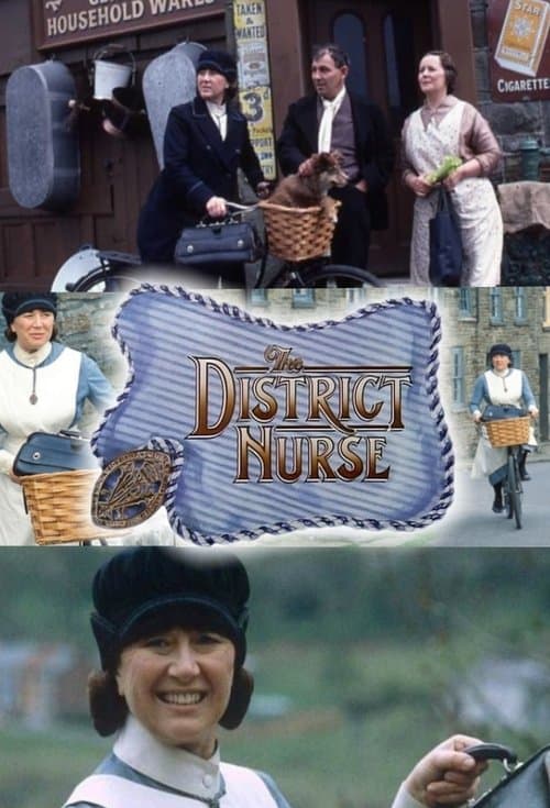 The District Nurse Season 2 poster