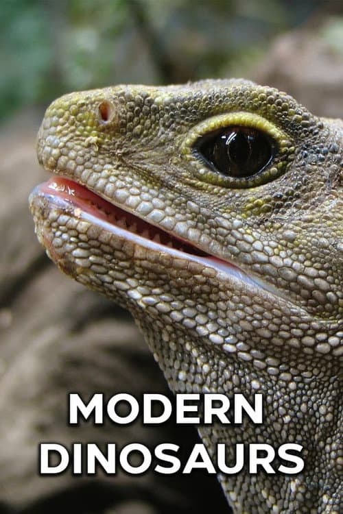 Modern Dinosaurs Miniseries poster