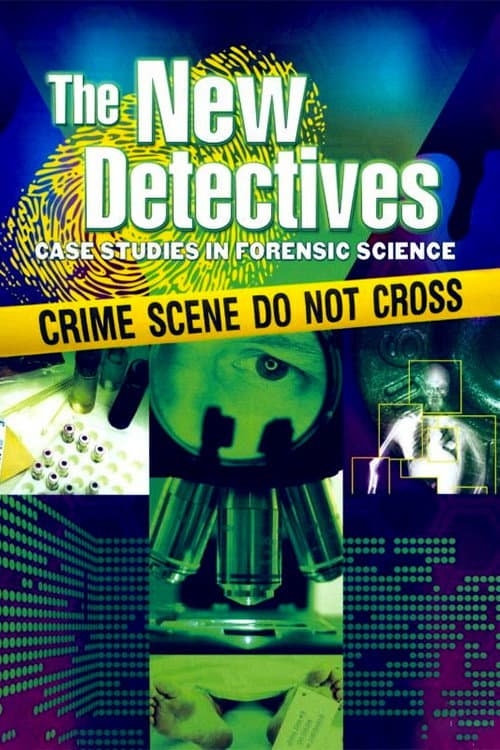 The New Detectives Season 2 poster