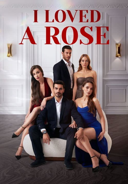 Ask Yarası Season 1 poster