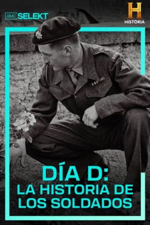 D-Day: The Soldiers' Story Limited Series poster
