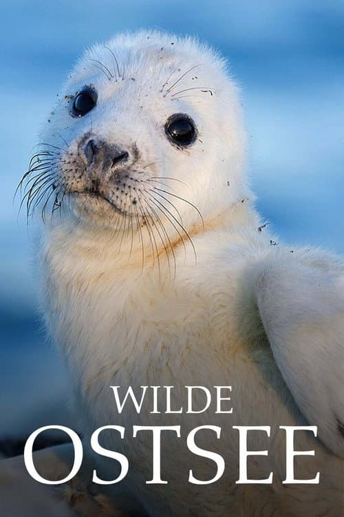 Wild Baltic Sea Season 1 poster