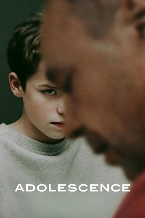 Adolescence Limited Series poster