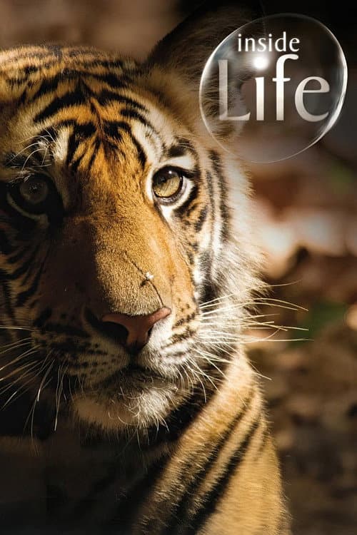Inside Life Season 1 poster
