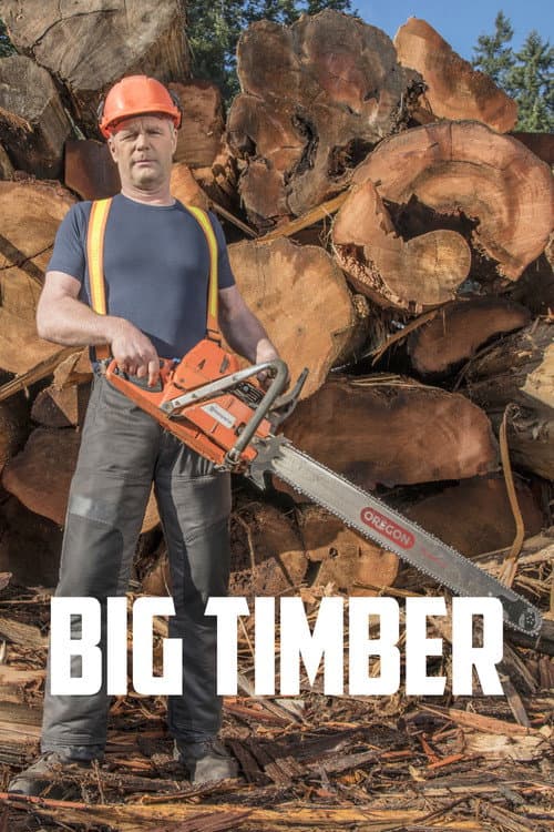 Big Timber Season 1 poster