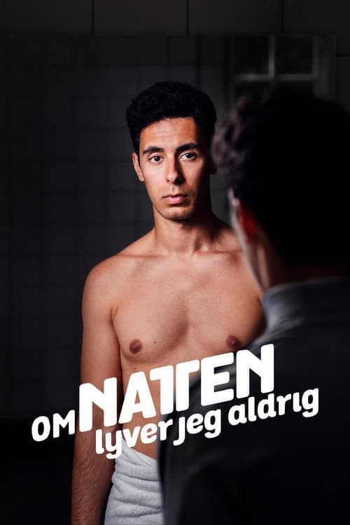 Om Natten Lyver Jeg Aldrig Season 1 poster