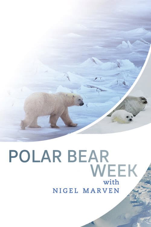Polar Bear Week with Nigel Marven Season 1 poster