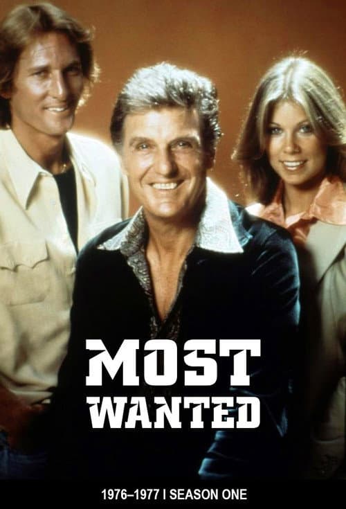 Most Wanted Season 1 poster