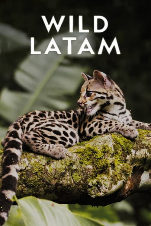 Wild Latam Season 1 poster