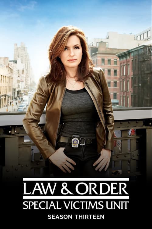 Law & Order: Special Victims Unit Season 13 poster
