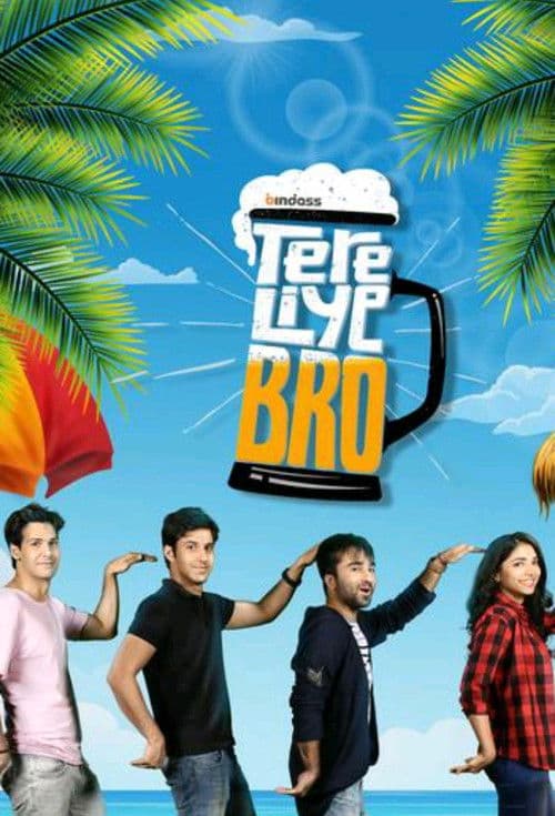 Tere Liye Bro Season 1 poster