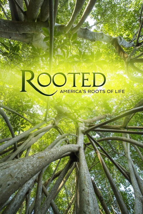 Rooted Rooted in the New World poster