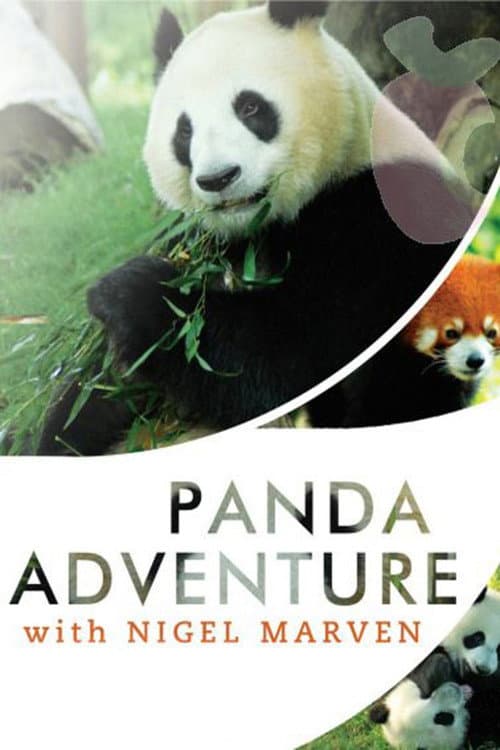 Panda Adventure with Nigel Marven Season 1 poster
