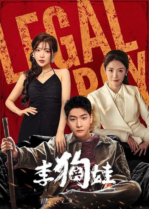 Legal Boy Season 1 poster