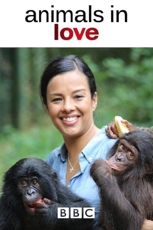 Animals in Love Season 1 poster