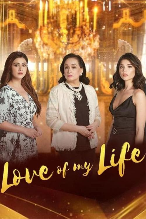Love of My Life Season 1 poster