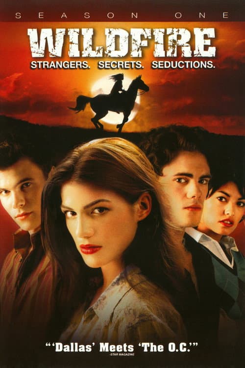 Wildfire Season 1 poster