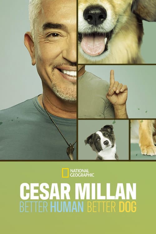 Cesar Millan: Better Human, Better Dog Season 3 poster