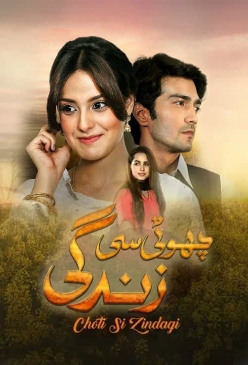 Choti Si Zindagi Season 1 poster