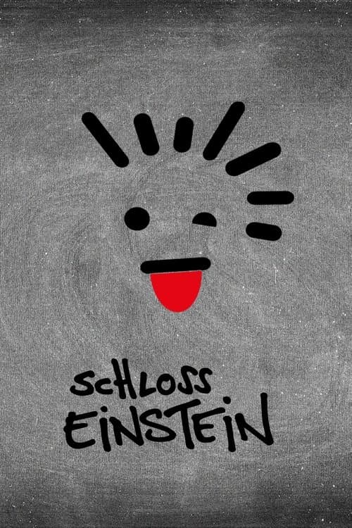 Schloss Einstein Season 7 poster