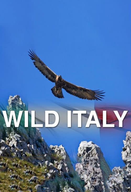 Wild Italy Season 1 poster