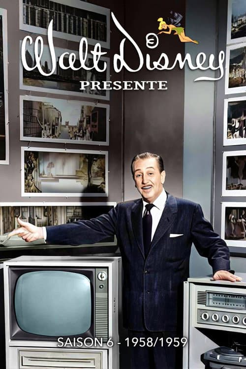 The Wonderful World of Disney Season 5 poster