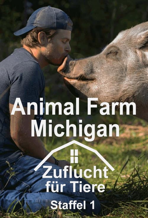 Saved By The Barn Season 1 poster