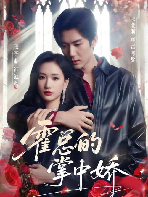 霍总的掌中娇 Season 1 poster