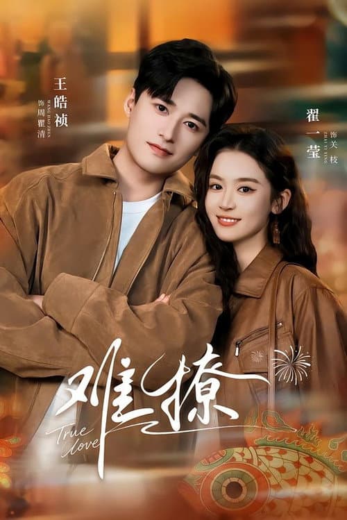 难撩 Season 1 poster