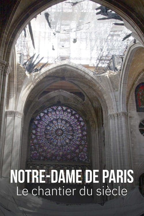 Notre-Dame de Paris, le chantier du siècle Season 1 poster
