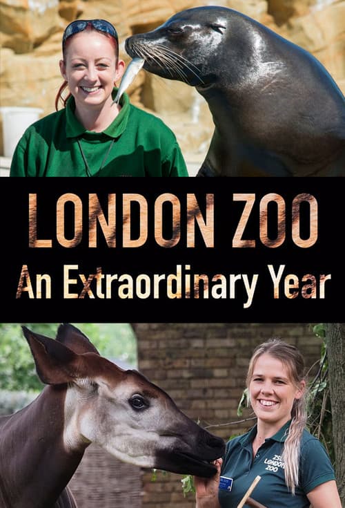London Zoo: An Extraordinary Year Season 1 poster