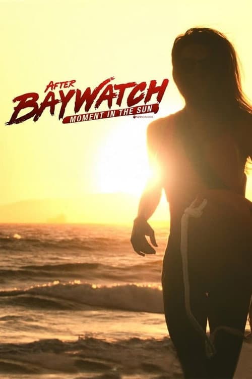 After Baywatch: Moment in the Sun Season 1 poster