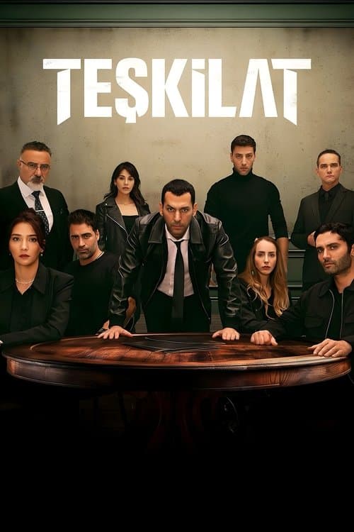 The Shadow Team Season 4 poster