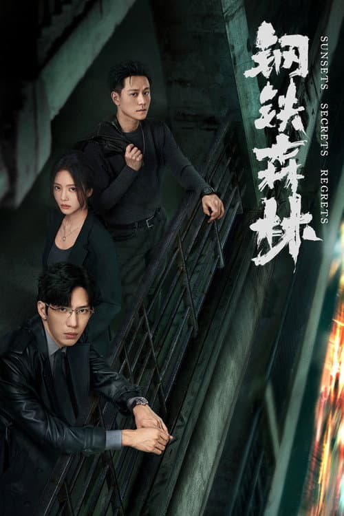 Sunsets Secrets Regrets Season 1 poster