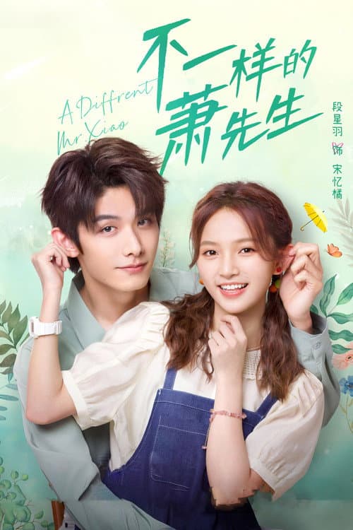 A Different Mr. Xiao Season 1 poster
