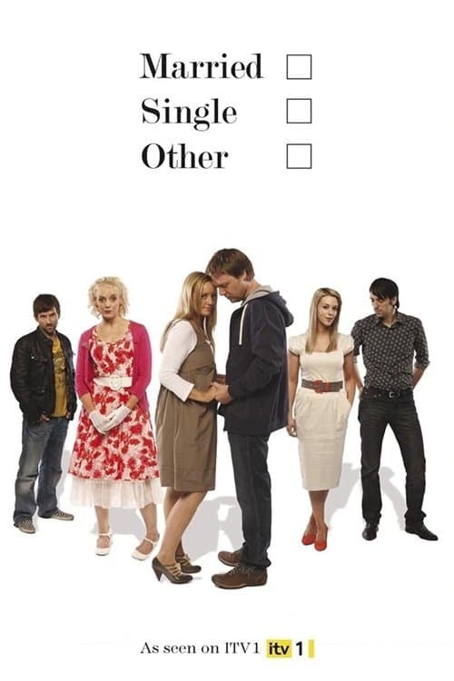 Married Single Other Miniseries poster