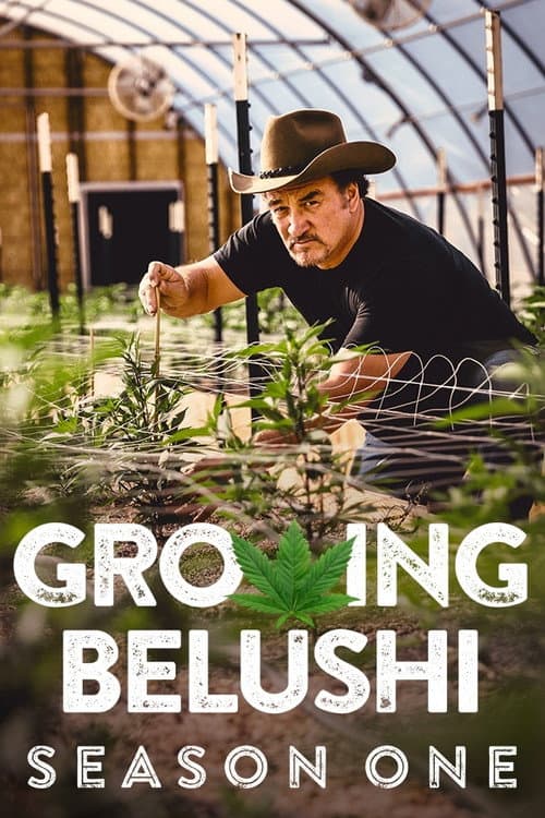 Growing Belushi Season 1 poster