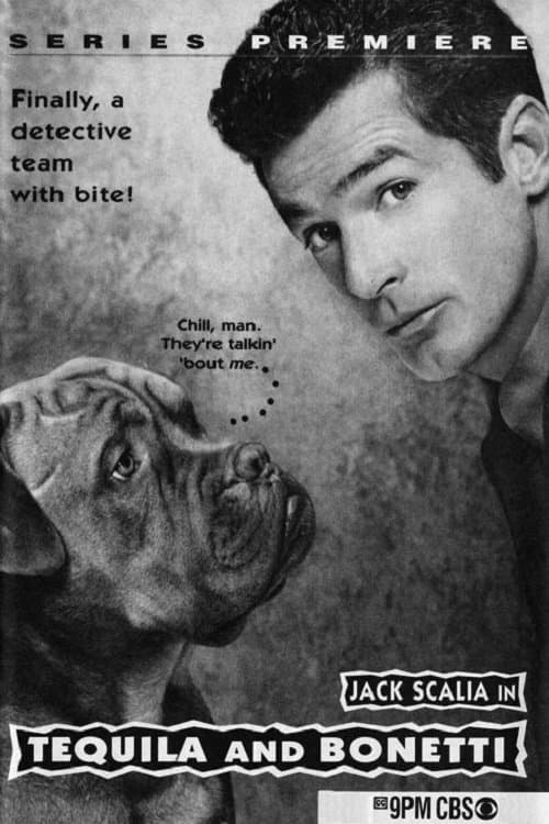 Tequila and Bonetti Season 1 poster