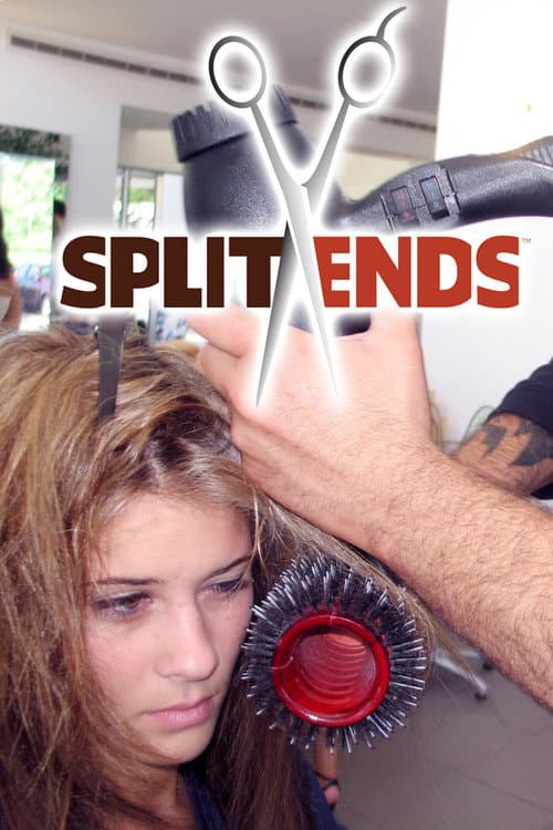 Split Ends (us) season 2 poster