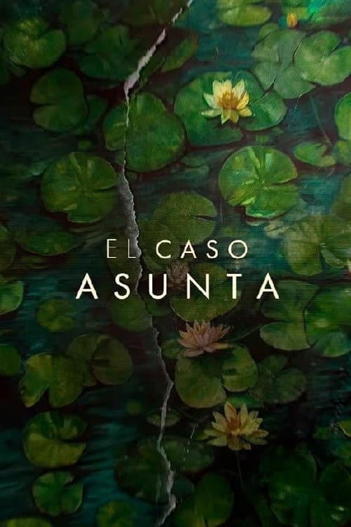 The Asunta Case Limited Series poster