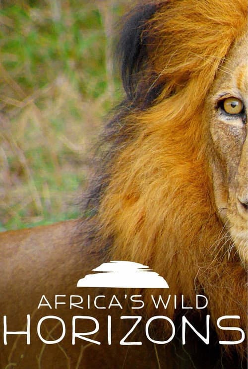 Africa's Wild Horizons Season 2 poster