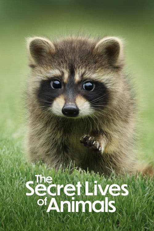 The Secret Lives of Animals Season 1 poster