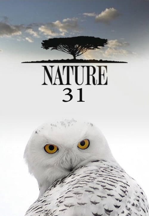 Nature Season 31 poster