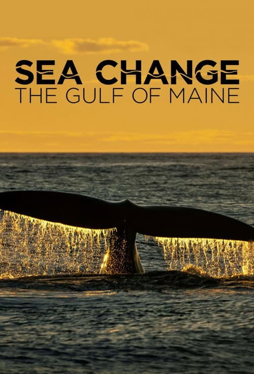 Sea Change: The Gulf of Maine Season 1 poster