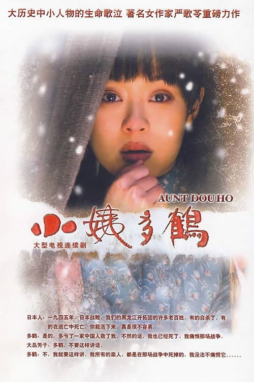 Auntie Duohe Season 1 poster